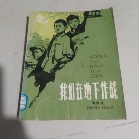 我们在地下作战