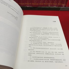 湖北省乡镇志村志系列丛: 洛阳镇志