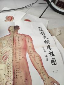 新编针灸按摩挂图 不带穴位治疗说明