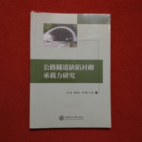 公路隧道缺陷衬砌承载力研究