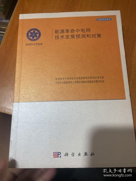 能源革命中电网及技术发展预测和对策