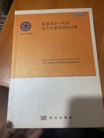 能源革命中电网及技术发展预测和对策