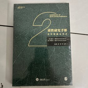 质性研究手册2：研究策略与艺术