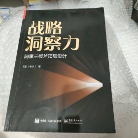 战略洞察力：阿里三板斧顶层设计(博文视点出品)