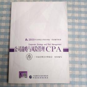 公司战略与风险管理：2019年注册会计师全国统一考试辅导教材