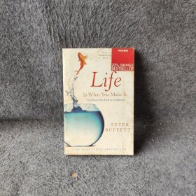 Life Is What You Make It做你自己:股神巴菲特送给儿子的人生礼物! 英文原版