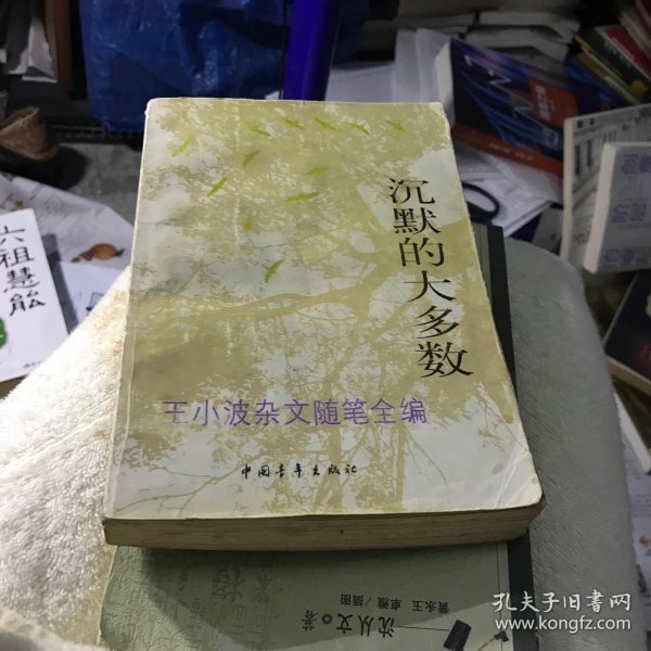 沉默的大多数：王小波杂文随笔全编