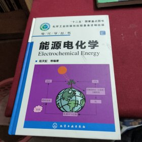 电化学丛书：能源电化学