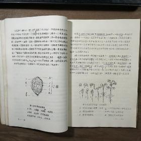 西北农学院【植保、农化、农经专业试用教材】《作物栽培学》上、下两册一套全，内容丰富，内页干净，品相好！