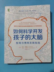 如何科学开发孩子的大脑:智商与情商发展指南