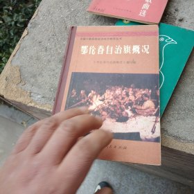 鄂伦春自治旗概况