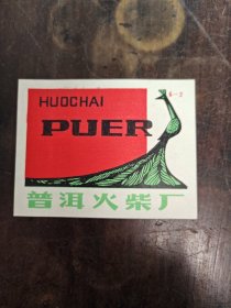 普洱火花孔雀(大尺寸