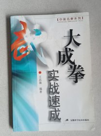 大成拳實戰(zhàn)速成