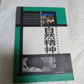 自然精神——内心的景摄影丛书