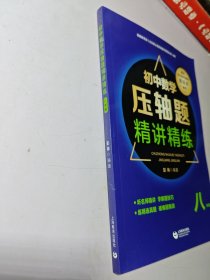 初中数学压轴题精讲精练（八年级）2022 未使用 全国通用