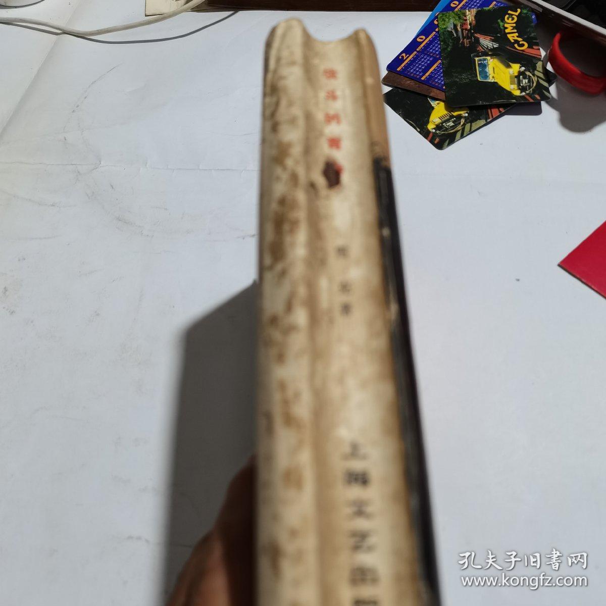 战斗的青春