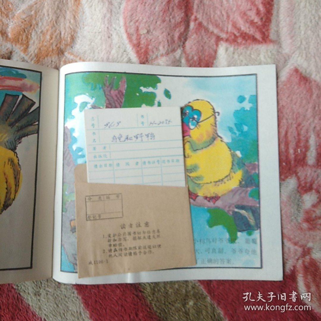 乌龟和野鸭