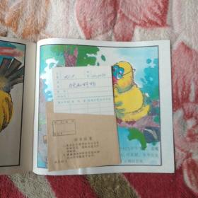 乌龟和野鸭