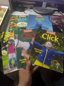 cricket 5本