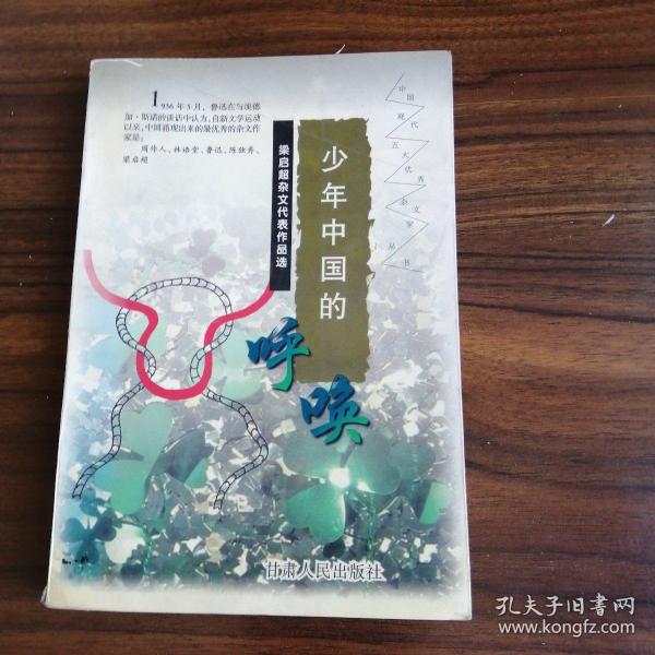 少年中国的呼唤:梁启超杂文代表作品选