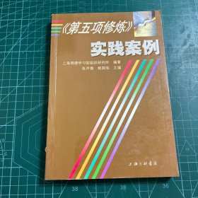 《第五项修炼》实践案例