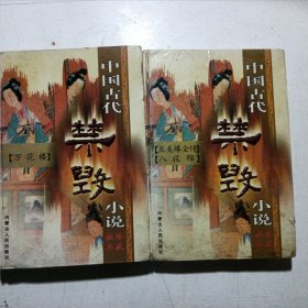 中国古代禁毁小说（2册）