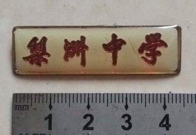 （宁波余姚）梨洲中学校徽
