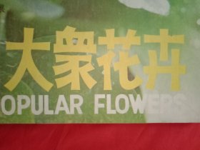 1987年版《大众花卉》总第30期（第一届中国花卉博览会专题报道；盆栽桂花幼树的整形——逼芽法；北方盆栽茉莉养护；晚香玉栽培；婚礼用花的造型；陈秉镇及其山水盆景艺术；树桩盆景材料的挑选和栽种；牡丹桩景的培养；山楂桩景的培育；可药用的观赏花木；如何养好瓜叶菊；花卉家庭简易水培法；植物的开花及其生理基础；怎样修剪和养好腊梅）