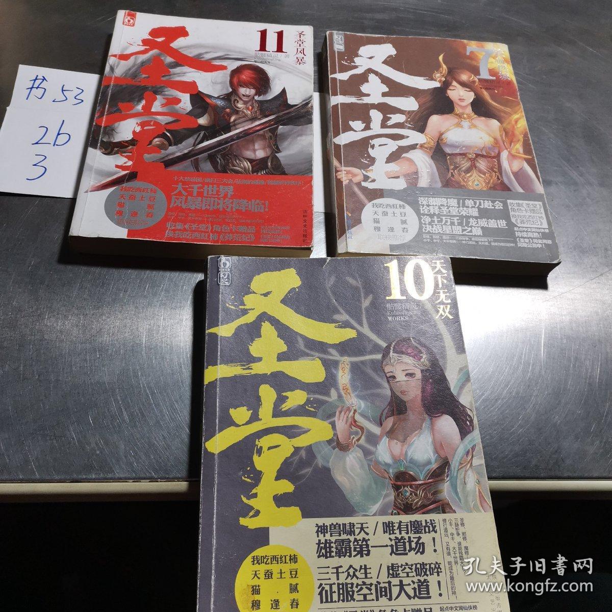 圣堂10·天下无双  11.圣堂风暴  7.铁血燃城 合计3本