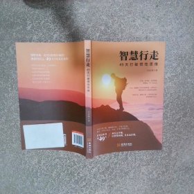 智慧行走49天打破惯性思维  白忠菊 金城出版社