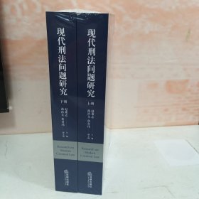 现代刑法问题研究（上下）
