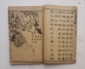 清代名家画梅竹蘭菊《芥子园画傳》二集卷八、卷九，梅蘭竹菊四都分（完整），青在堂菊谱;下册，画菊、花卉方面画谱：春飘风外、色染新霜、名分太液、秋耀金华、三色凌秋、小色织蕊、黄华朱實、黄蕊星罗、衰容增艳等19幅历史名家画菊、著名诗人作诗合作（洋见目录），非常珍贵，《芥子园画传》自问世以来，备受时人赞赏。《芥子园画传:花鸟》成为世人学画的必修之书，中国传统绘画的经典课本。19幅名家画梅菌竹菊非常少见。