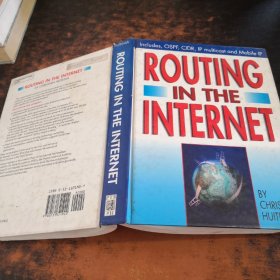 ROUTING IN THE INTERNET