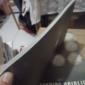 头发越来越少 潘德海油画