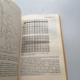 COHERENT OPTICAL COMPUTERS相干光学计算机（英文）