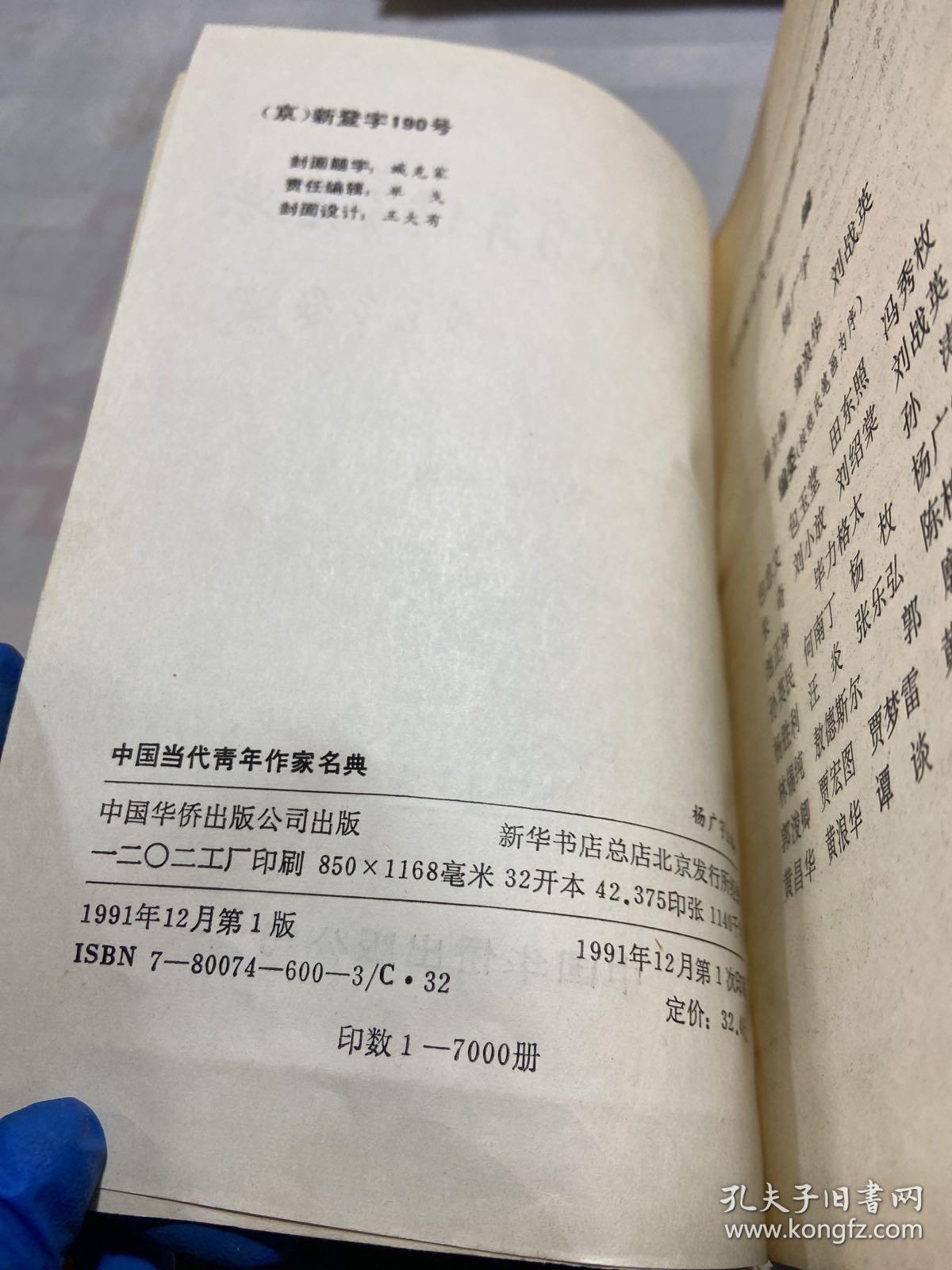 中国当代青年作家名典
