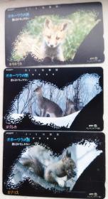 日本电话卡～哺乳动物专题--套卡(松鼠，鹿，赤狐)（过期废卡，收藏用）