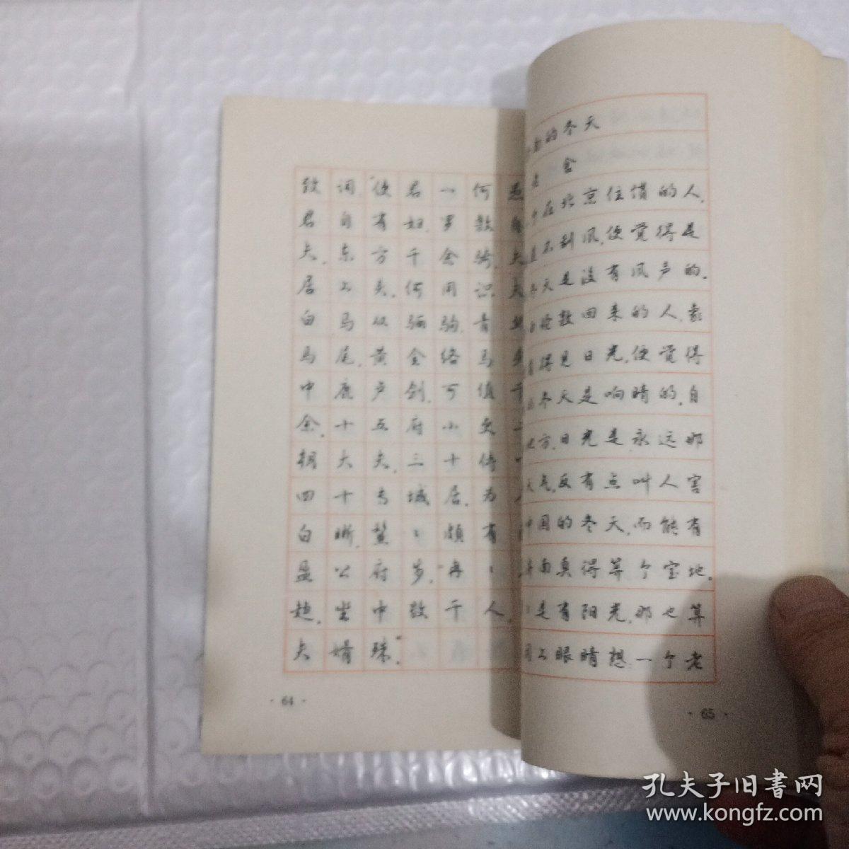 钢笔书法入门:中国钢笔书法系列丛书