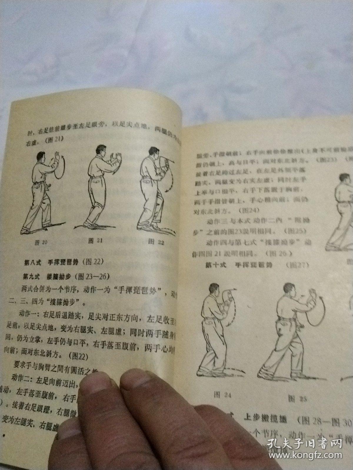 武式太极拳