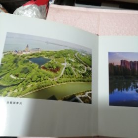 王岩摄影作品集（精装）