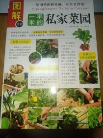 一平米的私家菜园