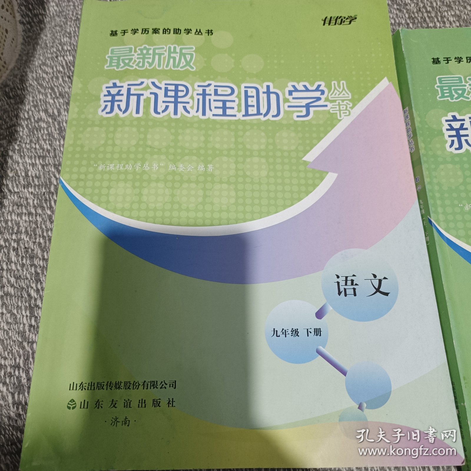 新课程助学丛书语文九年级下