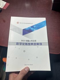 2023中国上市公司数字化转型典型案例