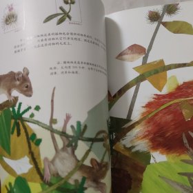 一粒种子的旅行
