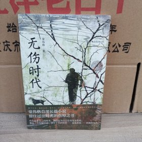 无伤时代（童伟格首部长篇小说）