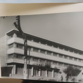 80年代初青海省人民政府和省建委黑白原版大照片两张16cmx12cm