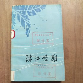 珠江怒潮