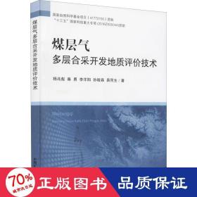 煤层气多层合采开发地质评价技术