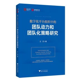 数字化平台组织中的团队动力和团队化策略研究