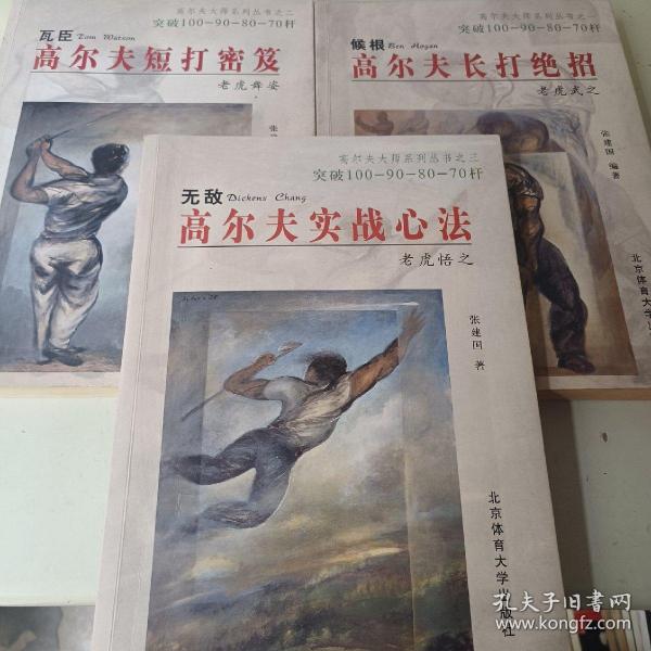 高尔夫大师系列丛书：《高尔夫长打绝招》《高尔夫短打秘笈》《高尔夫实战心法》三本合售